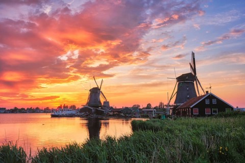 Netherlands rural scene