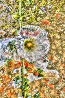 Flowers creative