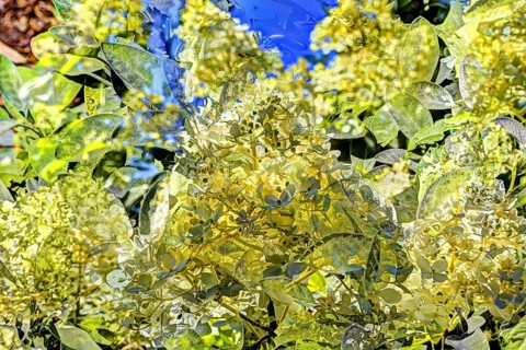 Flowers creative
