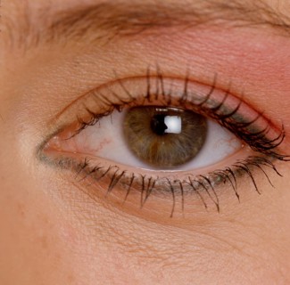 Auge