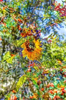 Flowers creative