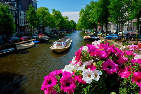 Amsterdam canal with passing boats view over flowers on the bridge Focus on flowers Amsterdam