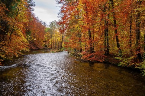 River Wuerm