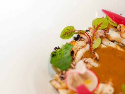 Macro close up of pan cooked grilled flambe atlantic squid plated with potato rich sauce cream reduction