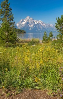Grand teton national park mountain range in wyoming