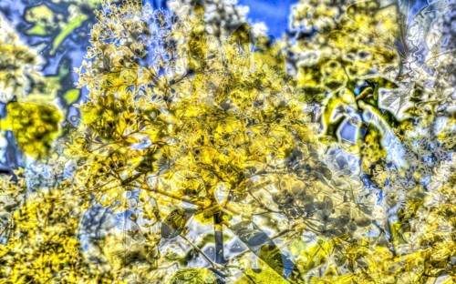 Flowers creative