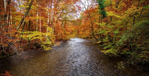 River Wuerm