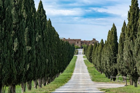 Driveway to country estate