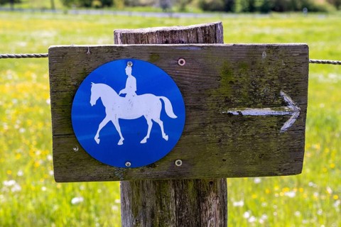 Signposting for a bridle path