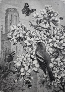 Symbolic picture for spring