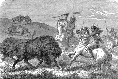 Indians hunting bison with bow and arrow