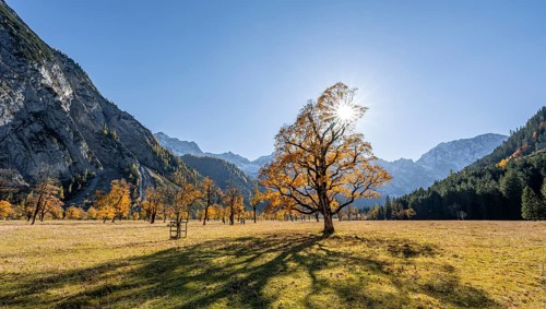 Panorama