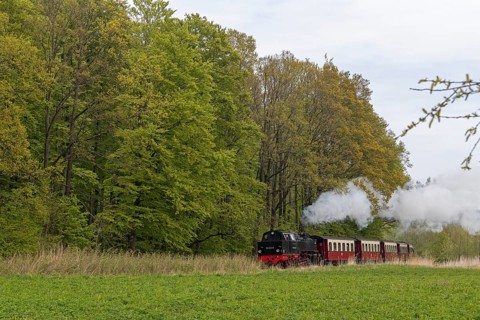 Molli steam train