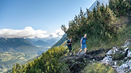 Hiker on hiking trail