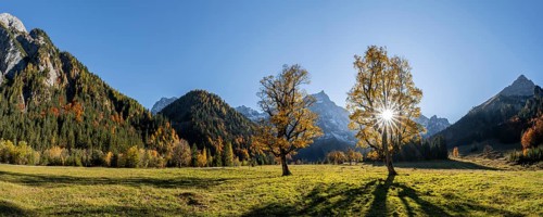Panorama