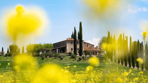 Poggio Covili estate