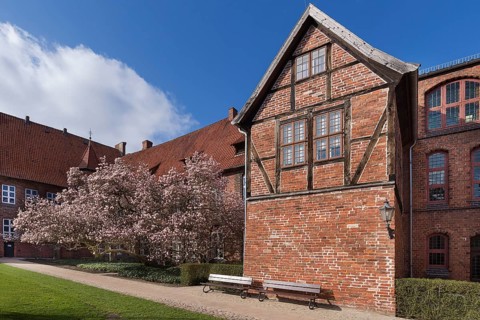 Town hall garden with flowering magnolias