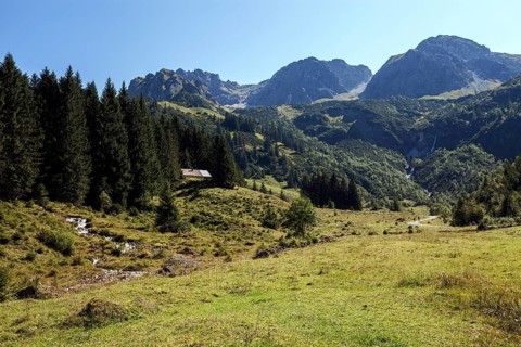 Wildental