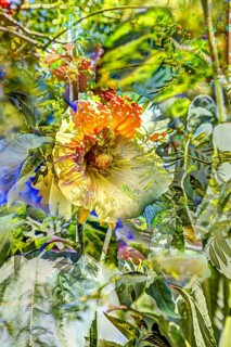 Flowers creative