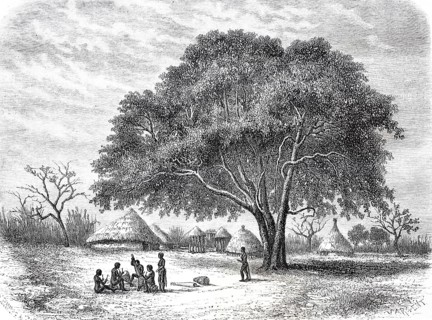 Indigenous people