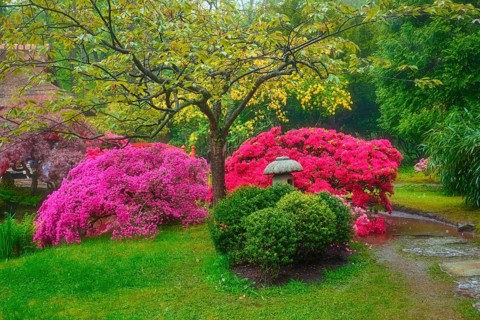 Stone lantern in Japanese garden with blooming flowers