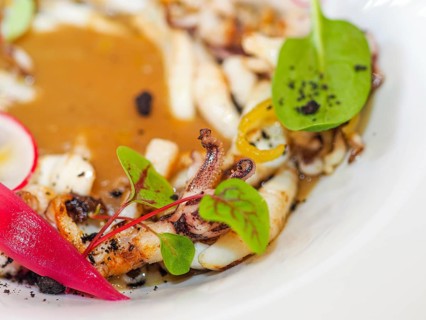 Macro close up of pan cooked grilled flambe atlantic squid plated with potato rich sauce cream reduction