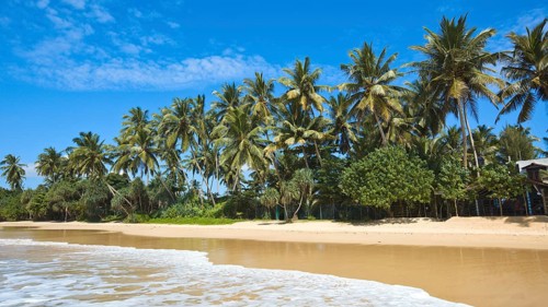 Tropical paradise idyllic beach Sri Lanka