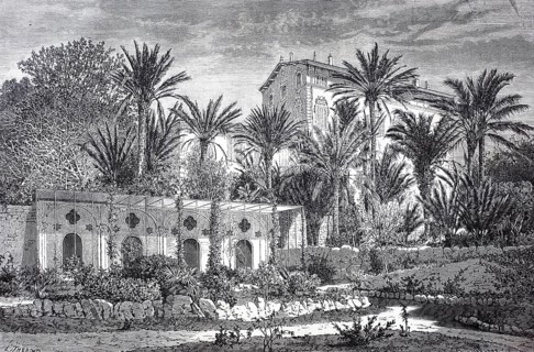 The Moreno Garden
