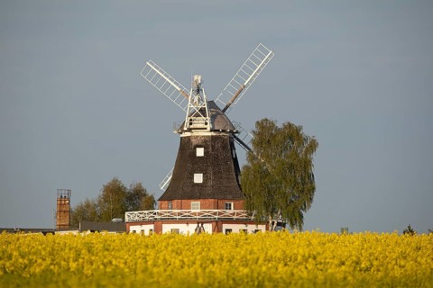 Hollaender Windmill