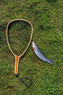 Caught trout and landing net lies on lawn