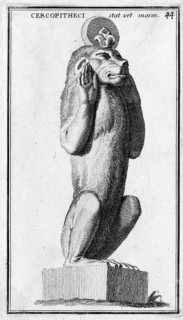 Eine Marmorstatue eines Affen aus dem Museum des Kapitol
