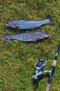 Fishing