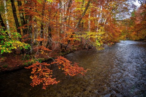 River Wuerm