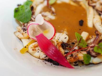 Macro close up of pan cooked grilled flambe atlantic squid plated with potato rich sauce cream reduction