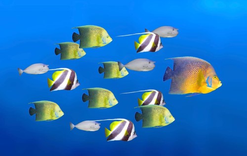 Leadership concept