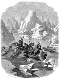 Boat being attacked by walruses