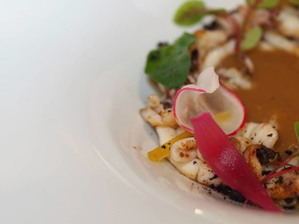 Macro close up of pan cooked grilled flambe atlantic squid plated with potato rich sauce cream reduction