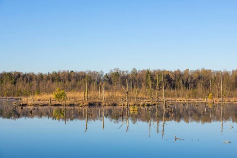 View over the Schwenninger moss