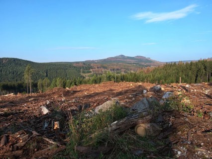 Forestry near Schierke