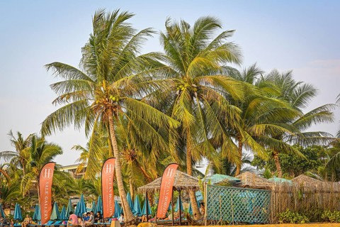 Palm