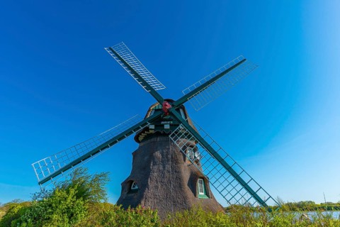 Windmill Charlotte