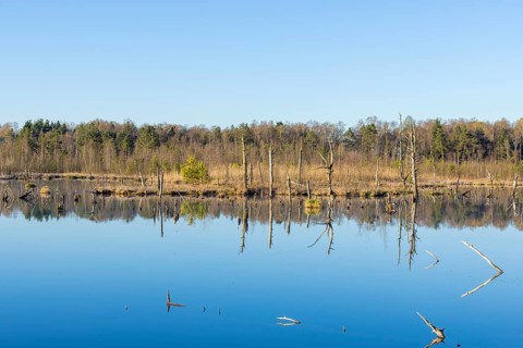 View over the Schwenninger moss