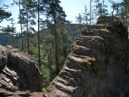 Hiking trail on the wooded slope between Schlagabach and Meuraberg along the Schlagethal in the Schwarza-Sormitz area