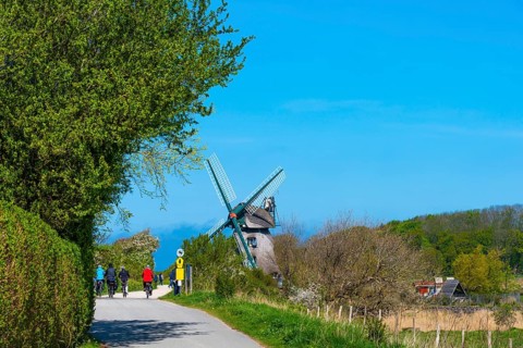 Windmill Charlotte