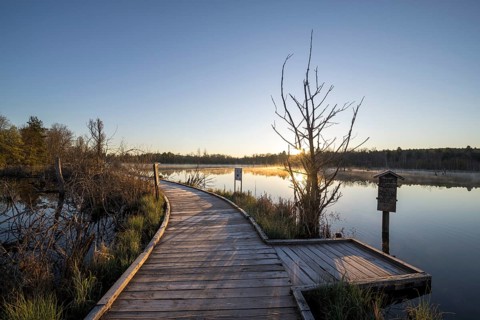 Wooden footbridge in the Schwenninger moss nature reserve