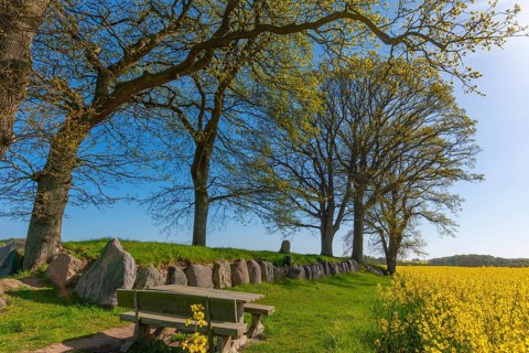 Megalithic grave Karlsminde
