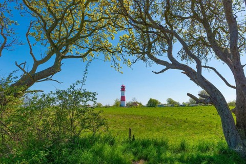 Lighthouse Falshoeft