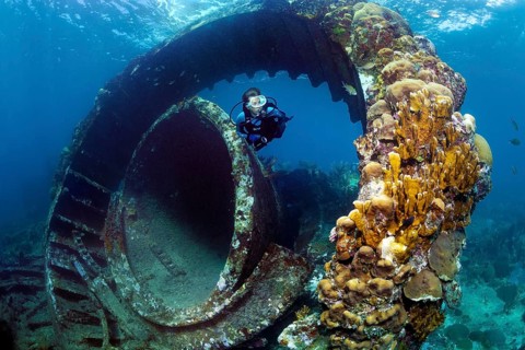 Diver