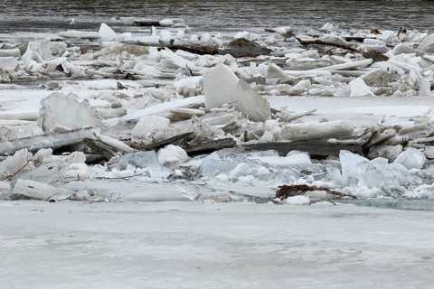 Pack ice in spring
