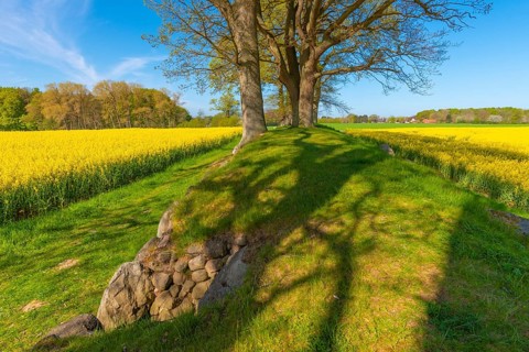 Megalithic grave Karlsminde